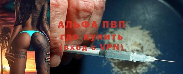 крисы Ельня