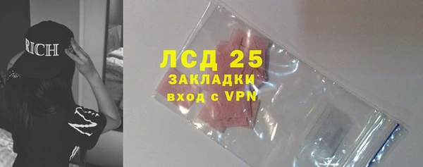 СК Елизово