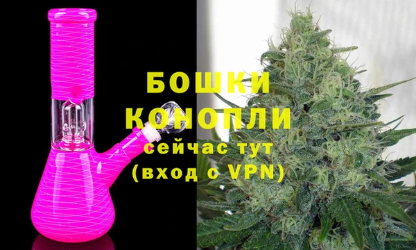 СК Елизово