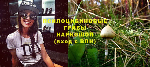 прущая мука Пересвет