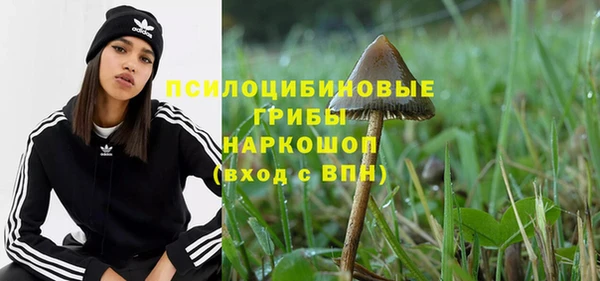 винт Пестово